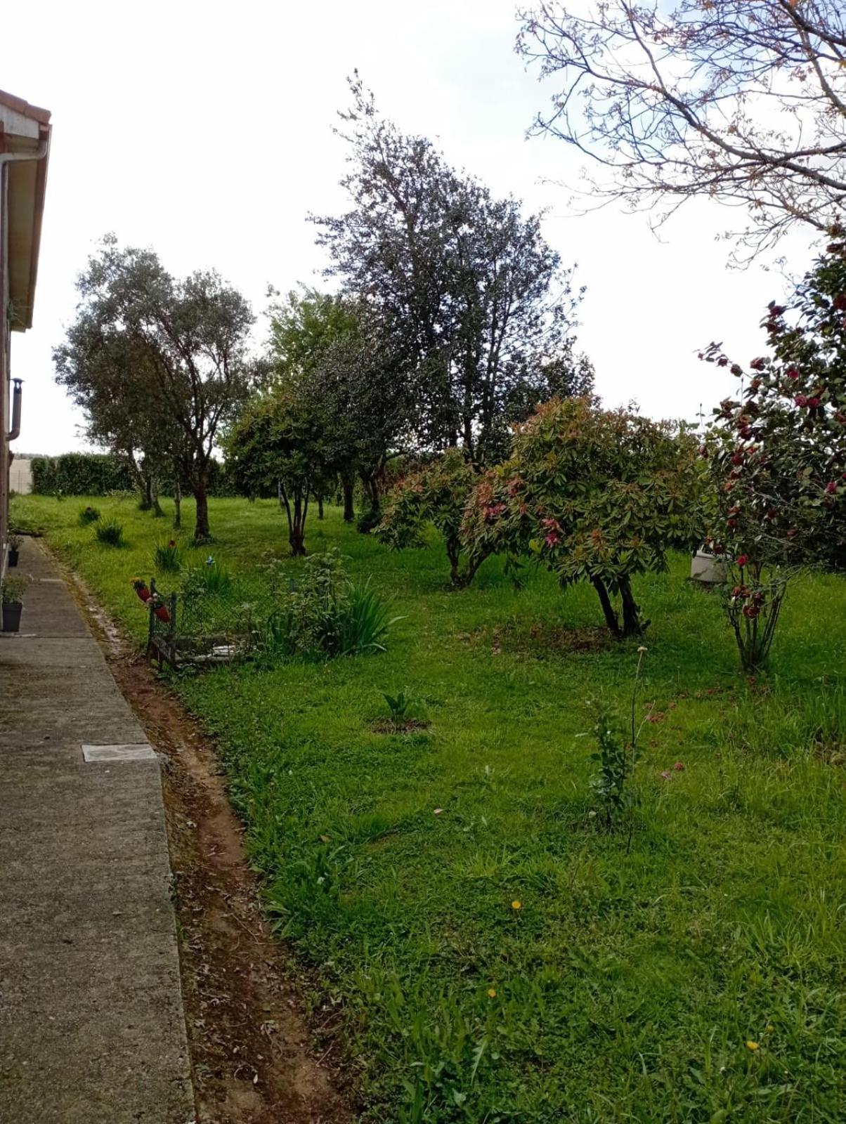 Апартаменты A Casa Do San Paio De Buscas Ордес Экстерьер фото
